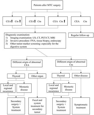 Management of medullary thyroid cancer based on variation of carcinoembryonic antigen and calcitonin